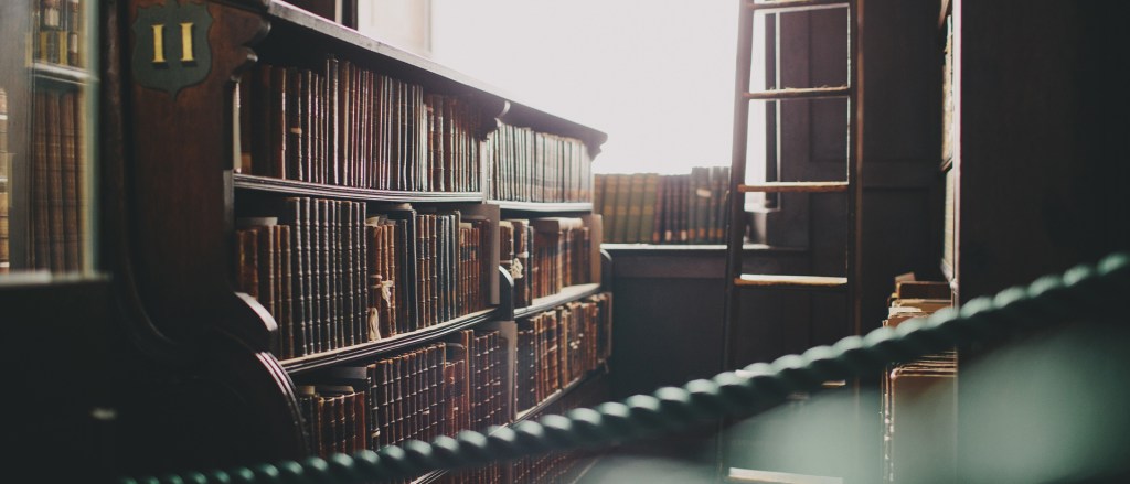 Large image of a library with books in bookcases and a ladder.